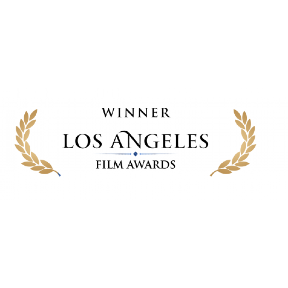 Los Angeles Film awards - 2017